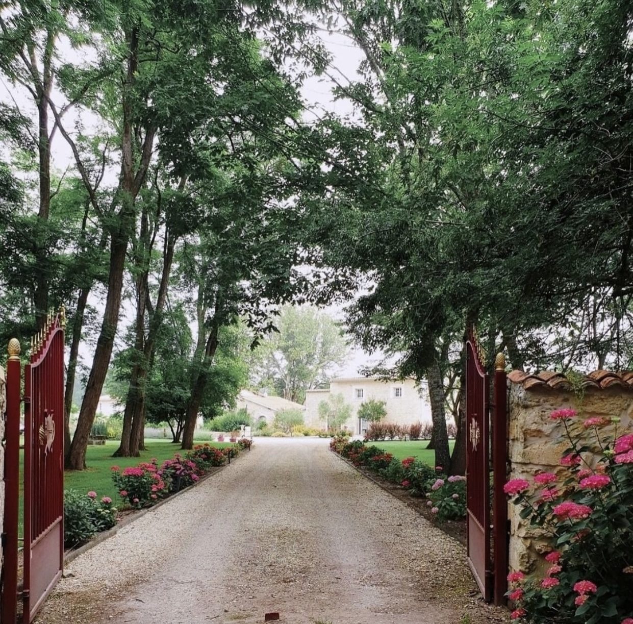 Allée du domaine